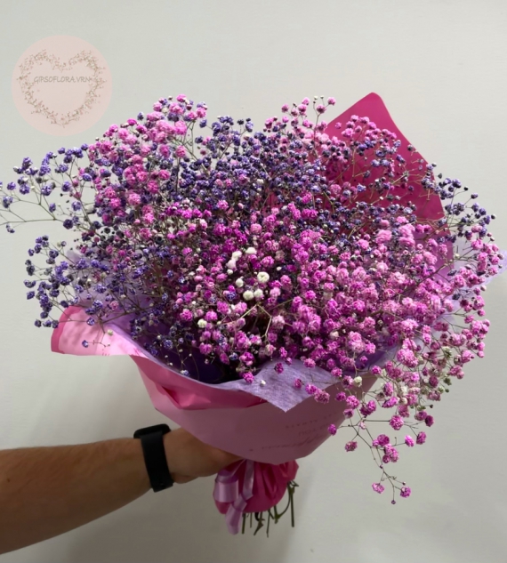 11 Розовых Гипсофил